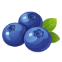 Blueberry